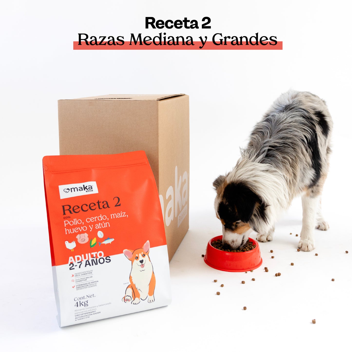 Receta 2 Razas Medianas y Grandes