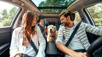 Qué hacer cuando mi perro le teme a los viajes en carro