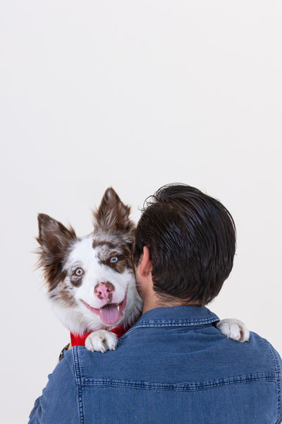 ¿Por qué mi perro hace pipi cuando se emociona?