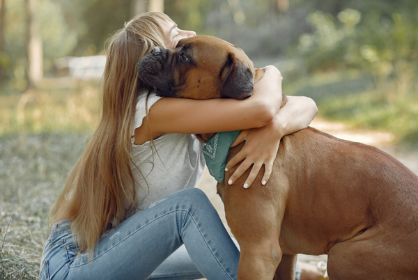 Perros para cuidar casa y niños: Razas protectoras y cariñosas
