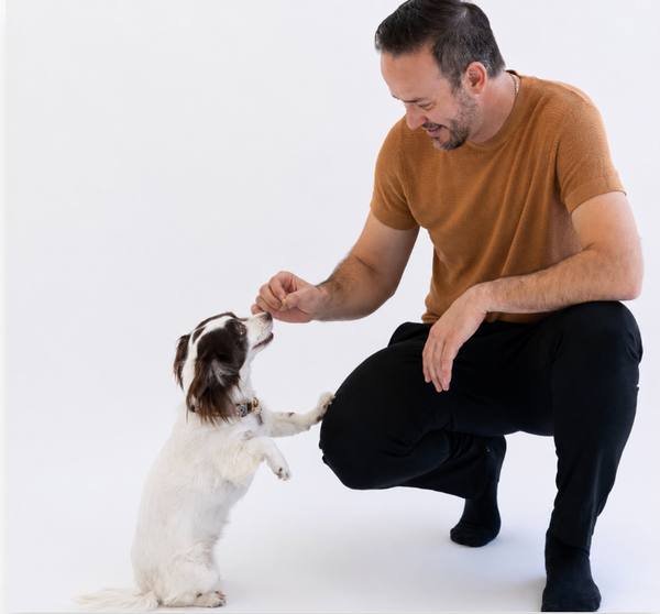 Hígado de cerdo liofilizado: perfil técnico del snack natural más denso en nutrientes para perros