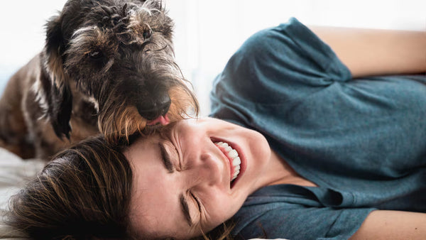 Cómo ayudar a tu perro o gato a vivir una vida larga, saludable y feliz