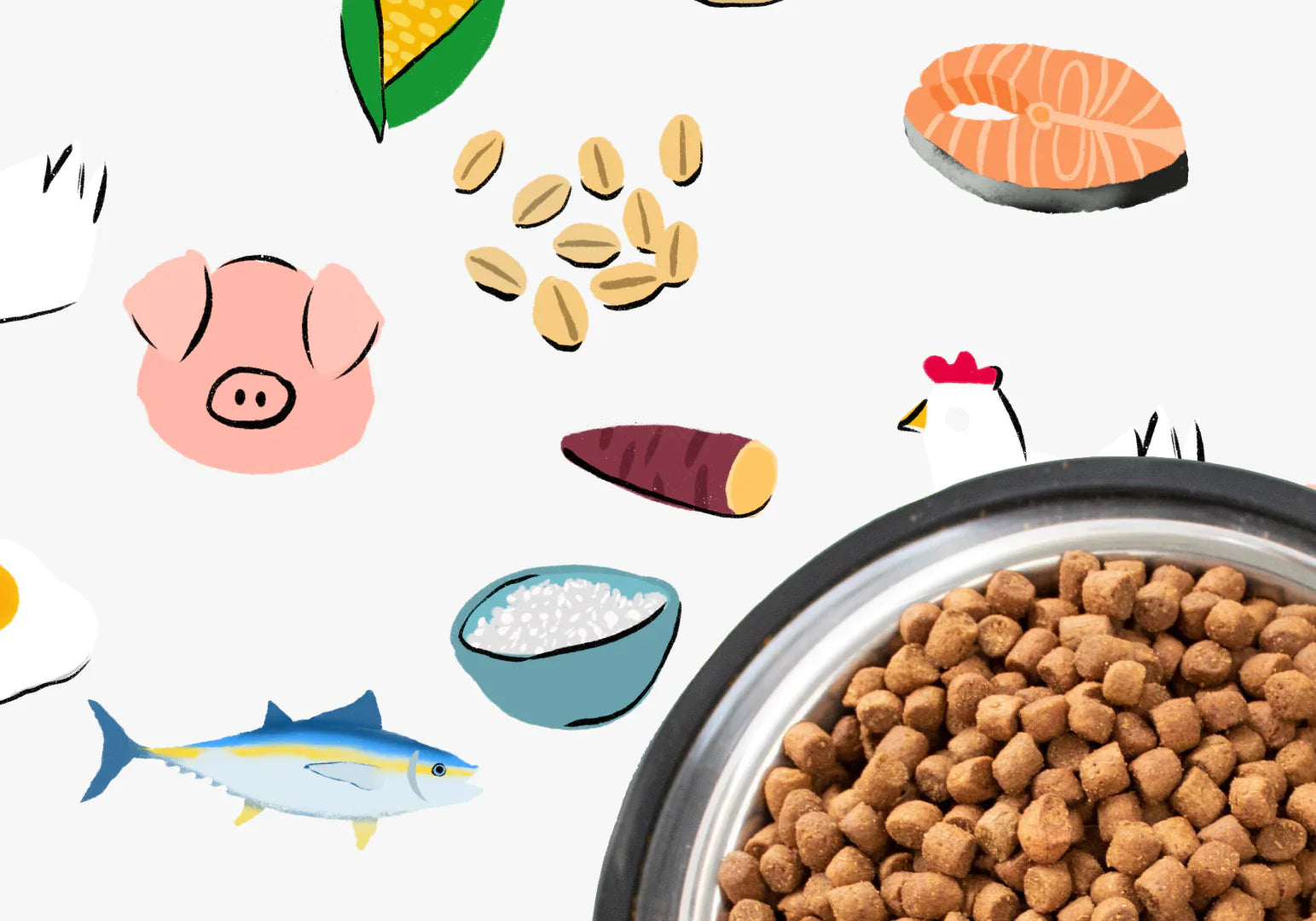 La guía definitiva sobre los ingredientes de la comida para perros