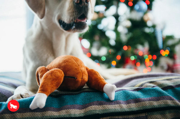 Alimentos navideños peligrosos para perros