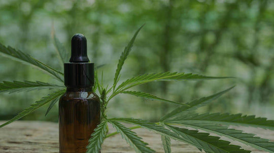 Aceite de cáñamo para perros y gatos