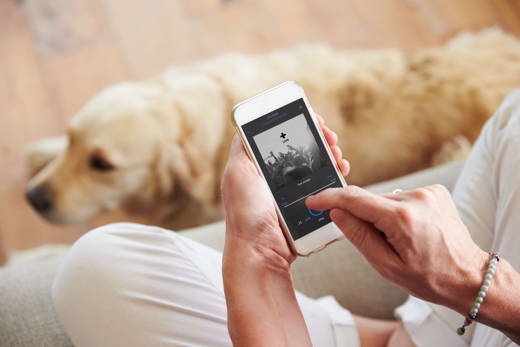 Música relajante para perros y gatos