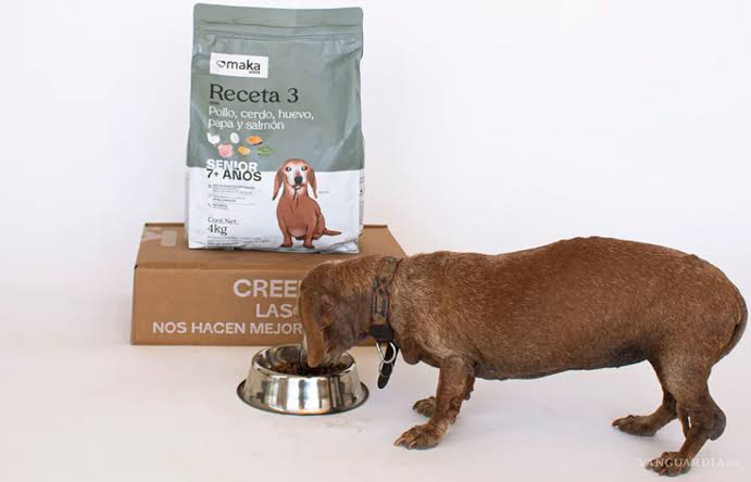 ¿Qué significa que un alimento sea completo y equilibrado para tu perro?