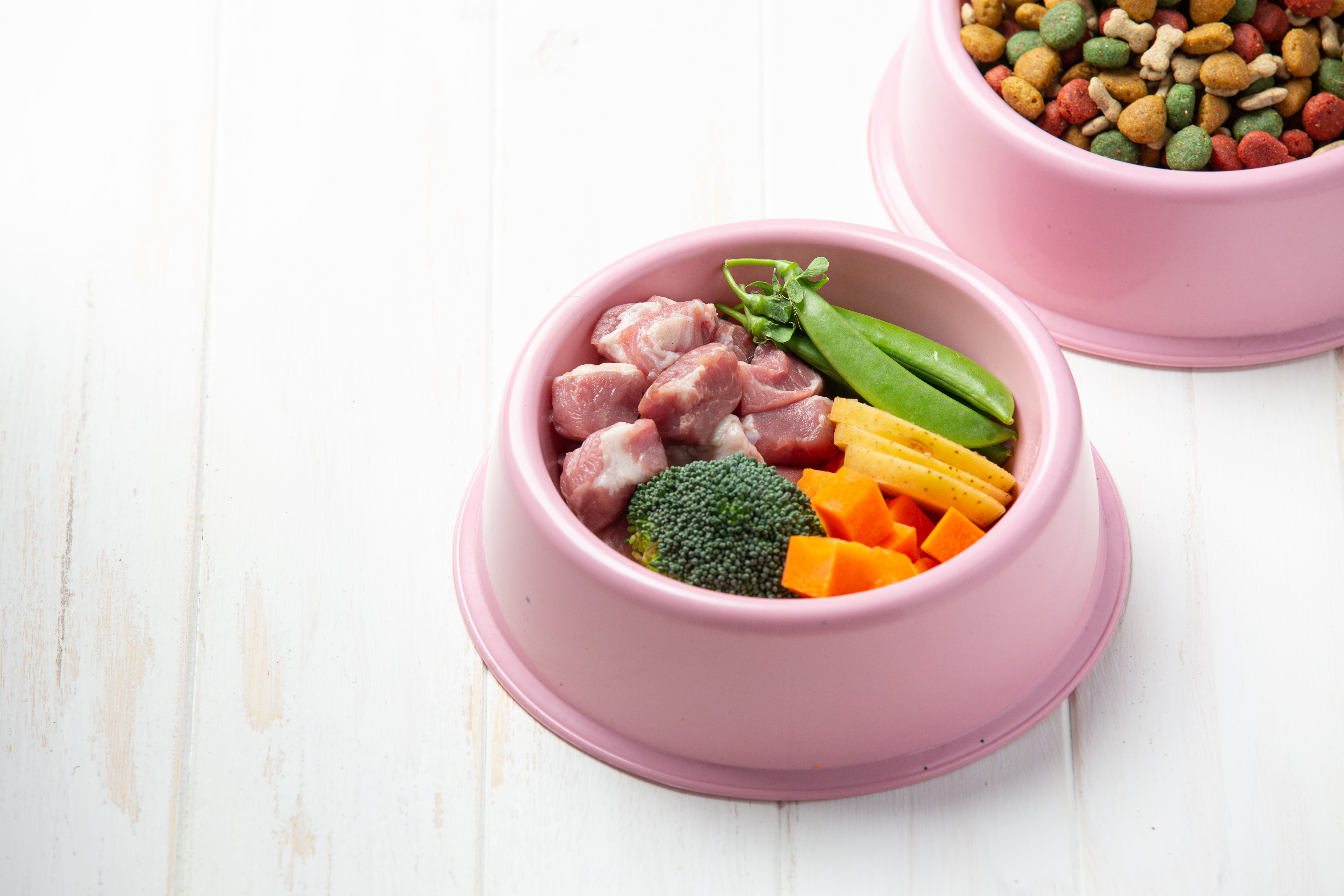 El rol de la alimentación en la prevención de enfermedades en perros