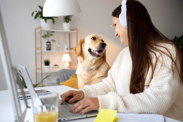 ¿Es el teletrabajo beneficioso para tu perro? Cómo adaptarse al nuevo estilo de vida