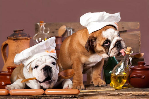 ¿Pueden los perros consumir aceite de oliva?
