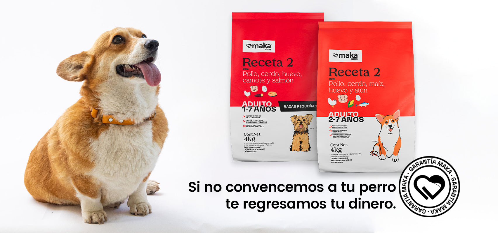 Recetas para perro adulto