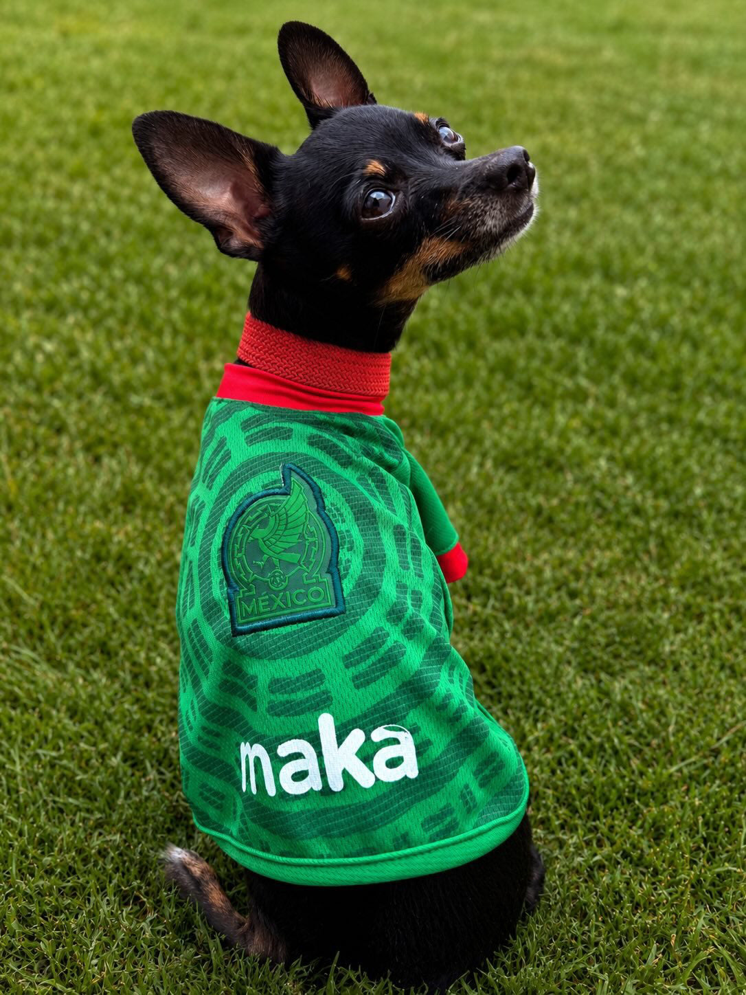 Playera para perro edición México Maka