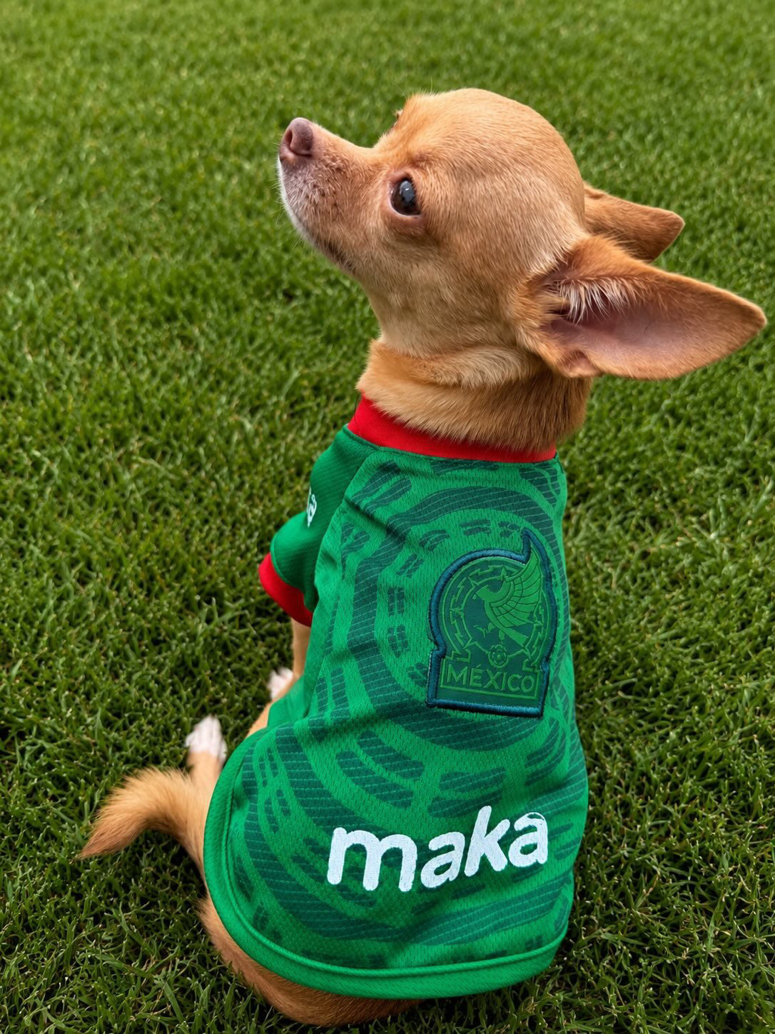 Playera para perro edición México Maka