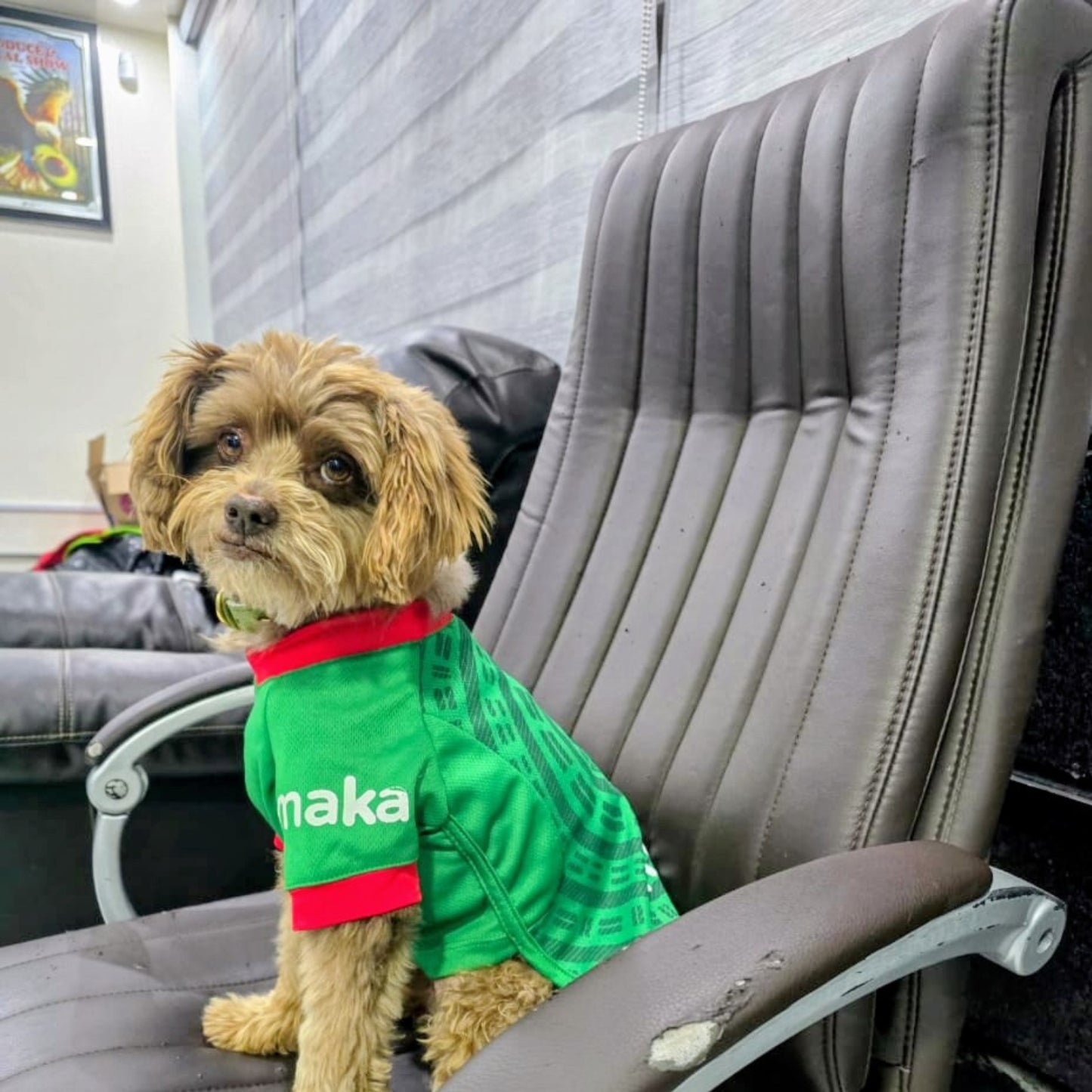 Playera para perro edición México Maka