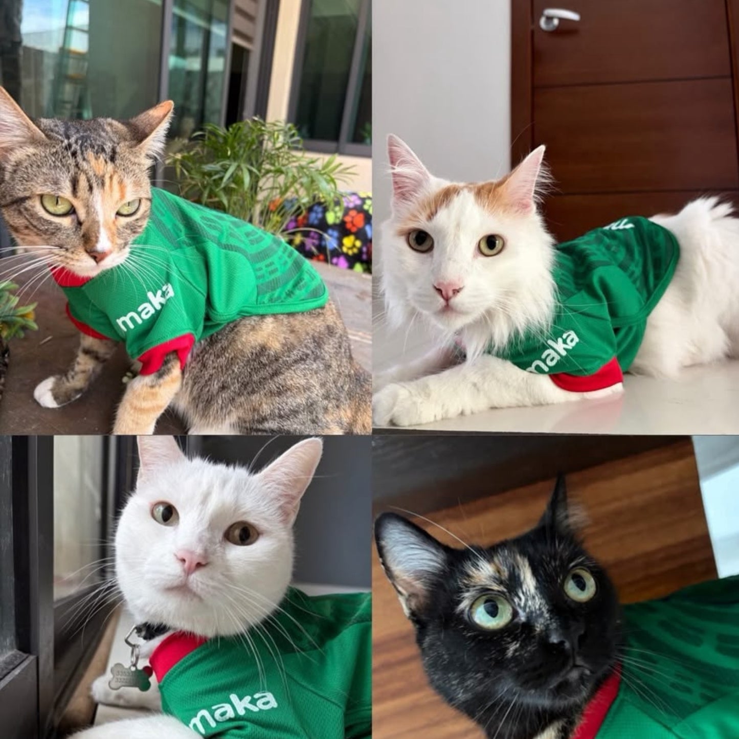 Playera para perro edición México Maka